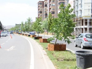 Sivas Belediyesi’nin ağaçlandırma çalışmaları devam ediyor