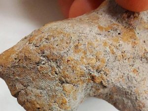 Tam 9 bin yıllık parmak izi