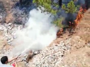 Sivas-Malatya seferini yapan tren orman yangınına denk geldi