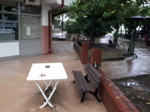 Etkisini gösteren sağanak yağış ve rüzgar hayatı olumsuz etkiledi