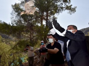 Karaman’da 840 sülün doğaya bırakıldı