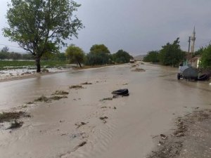 AFAD: “Yaşanan sel nedeniyle 55 vatandaşımız hayatını kaybetmiştir”