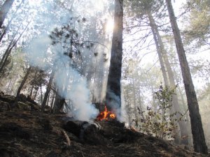 Düğmeli ev ve Yılkı atlarıyla ünlü İbradı’da yangın kontrol altına alındı
