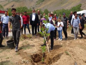 Ülkede çıkan yangınlardan dolayı Nemrut Dağı’nda ağaç dikimi gerçekleştirildi