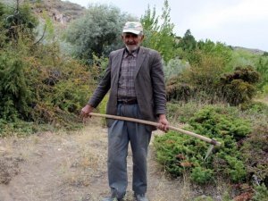Ahmet Dede, kasabasında bulunan dağa 34 yıldır fidan dikiyor