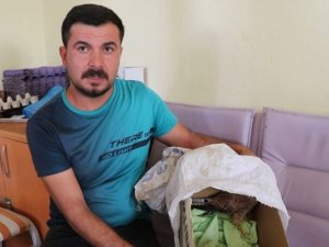 Yaralı Atmaca’ya belediye çalışanı sahip çıktı