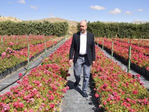 Selçuklu yeşil dokuya fidanlığıyla katkı sağlıyor