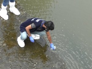Ölü balıklar Tarım ve Orman Müdürlüğü’nü harekete geçirdi