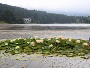 Tatilciler serinleyen havanın tadını Gölcük’te çıkardı