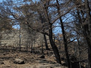 Manavgat’taki yangın Lyrbe Antik Kenti’ne de zarar verdi