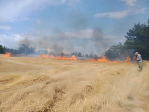 Karabük’te ekin tarlasında yangın