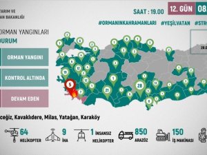 Bakan Pakdemirli, orman yangınlarına ilişkin güncel durumu paylaştı