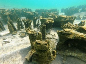 Van Gölü’nde yeni mikrobiyalitler keşfedildi