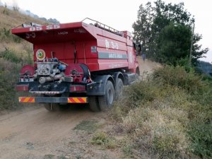 Karacasu’daki yangında ekiplerin çalışması sürüyor