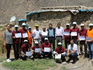 Çatak’ta Bıttım ağaçlarının fıstığa dönüştürülmesi devam ediyor