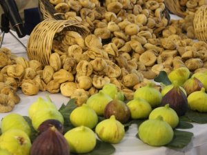 Başkan Kendirlioğlu, Aydın incirinin önemine dikkat çekti