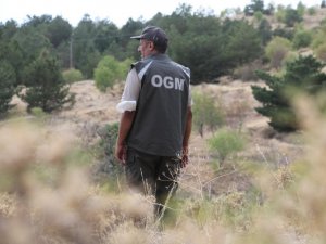 Elazığ’da, ormanlık alanlarda sıkı denetim