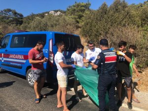 Jandarma ve vatandaşlar çevre temizliği yaptı