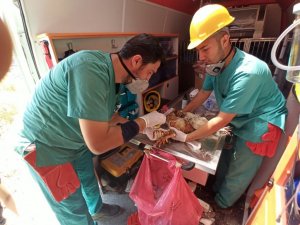 “Canbulan” Manavgat’tan sonra şimdi Muğla’da