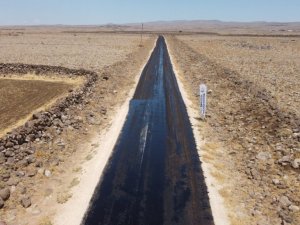 Viranşehir kırsalında asfalt çalışması