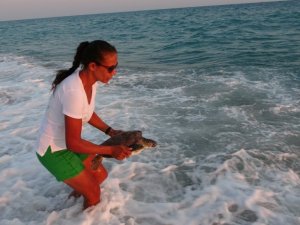 Önceki gün ölen caretta başında ağlamıştı, bugün hayata tutunan caretta başında sevinçten ağladı