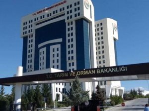 Tarım ve Orman Bakanlığından Ar-Ge projelerine 30 milyon TL destek