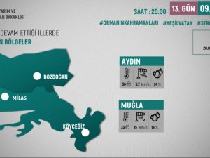 Bakan Pakdemirli: "270 orman yangınından 267’si kontrol altında"