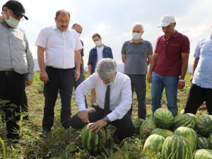 Erzincan’da hasat dönemi