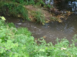 Göçbeyli ve Ballıca’nın kanalizasyon atığı, foseptik yerine Ömerli Barajı’na akıyor
