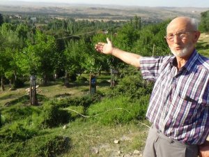 Emekli memur, köy arazisine 500’e yakın meyve fidanı dikti
