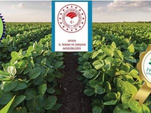 Aydınlı üreticilere müjde, destek ödemeleri başladı