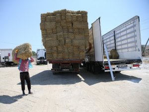 Merkezefendi Belediyesi, Aydın’daki yangın mağdurları için seferber oldu