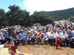 Kırıkhan’daki Alan Yaylası’nın tapu ve elektrik sorunu çözüldü