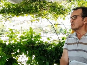 Bahçesinin çitini canlı bitkileri örerek elde etti