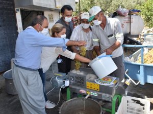 Tarsus Belediyesi’nden vatandaşlara üzüm sıkma ve salça makinası
