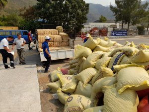 Büyükşehirden yangın mağduru üreticilere 368 ton hayvan besini desteği