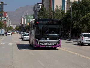 Van’da 21 yeni güzergaha ilk kez otobüs seferi verildi