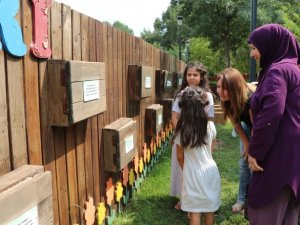 Endemik bitkiler arasında unutulmaz yolculuk