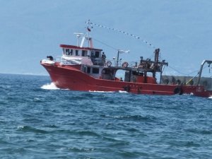 Resifler Edremit Körfezinde balık çeşidini ve sayısını artıracak