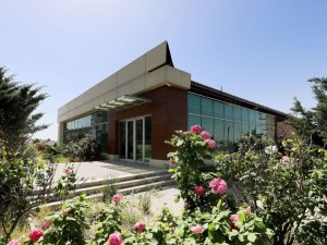 Çankaya kent merkezinde tarım