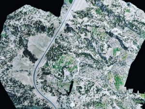 Yanan ormanlar için ağaçlandırma projesi başladı