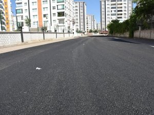 Bağlar Belediyesi 28 ayda asfaltlama rekoru kırdı