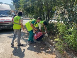 Muğla’daki yangında hayvanları tahliye edip beslediler