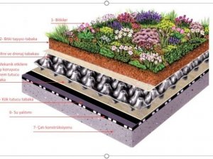 İklim koşullarına en uygun yeşil çatı tasarımları belirlenecek