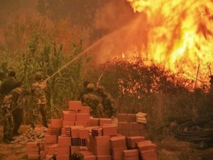 Cezayir’deki orman yangınlarında ölenlerin sayısı 65’e yükseldi