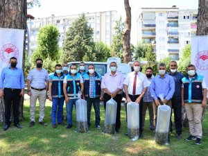 Denizli’de göllere 210 bin adet yavru sazan bırıkıldı