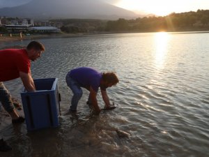 Bursa’da gölete 190 kilogram balık salındı