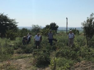 Huzurevinde yetiştirdiler, hasadını gerçekleştirdiler