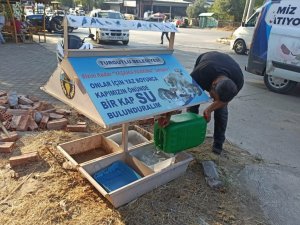 Turgutlu Belediyesinden can dostlara mama ve su desteği