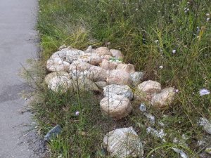 Yol kenarına dökülen bozuk turşular mahallenin kabusu oldu